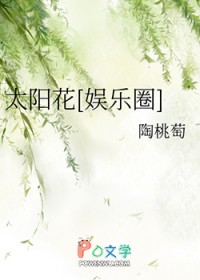 [韩娱同人] 太阳花